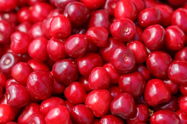 Lot Beautiful Ripe Cherries Close — Stock Photo, Image