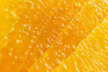 Olgun Orange, kopya alanı sulu kesim