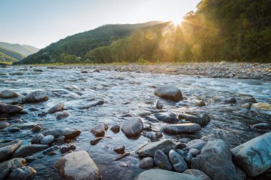 Hızlı dağ nehir şafakta yeşil orman arka planı
