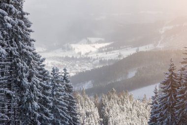 Yüksek ince çam, kar yamaçları ve soğuk güneşli bir iğne yapraklı ormanlar arasında bir köy
