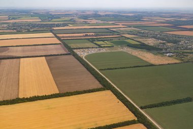 Bir sürü bir kuş bakışı--dan hasat önce sarı alanlar