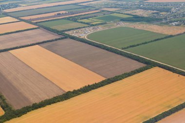 Bir sürü bir kuş bakışı--dan hasat önce sarı alanlar