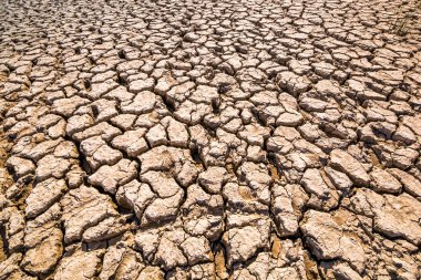 Kil toprak, kerpiç derin çatlaklar ile kaplı