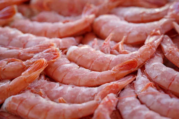 Schöne Gekochte Und Gefrorene Garnelen Liegen Einer Box — Stockfoto