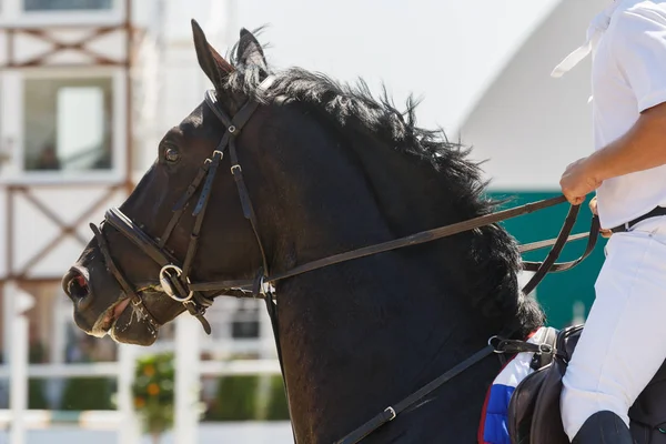 Horseman Rides Black Horse Galloping Hippodrome Close — Stock Photo, Image