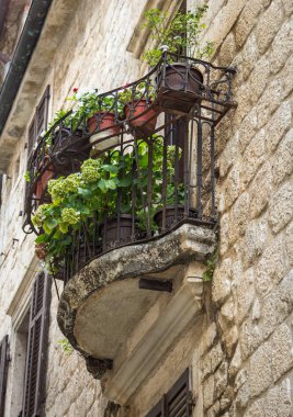 Küçük yarım daire balkon korkuluk, metal tencere şehirde Kotor, Karadağ çiçekli kadar takoz