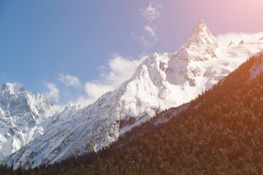 Güzel karla kaplı Kafkas Dağları ve güneşli kış gününde ile iğne yapraklı orman büyümüş yamaçlar