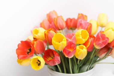 Beyaz bir duvarın arka planında beyaz büyük bir vazoiçinde duran sarı ve kırmızı lalelerden oluşan büyük bir buket, yakın çekim