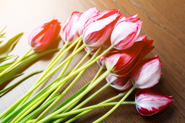 Bouquet of fresh red-white tulips lying on a wooden table