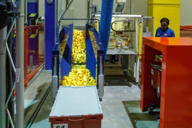 Dubai, Bae, 09 Ocak 2019: Legoland'de Lego tuğlaları oluşturmanın teknolojik süreci. Birçok sarı tuğla Lego ambalaj hazır