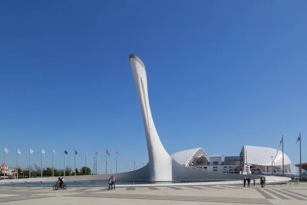 Sochi Région Krasnodar Russie Mai 2017 Coupe Flamme Olympique Sur — Photo