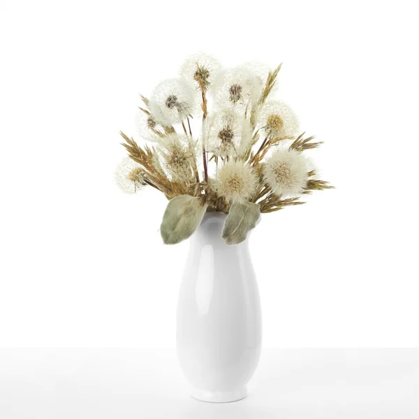 Bouquet Dried Dandelions Stands White Vase White Background — Stock Photo, Image