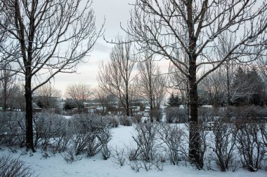 Reykjavik şehir pansiyonu kış boyunca buz manzaralı.