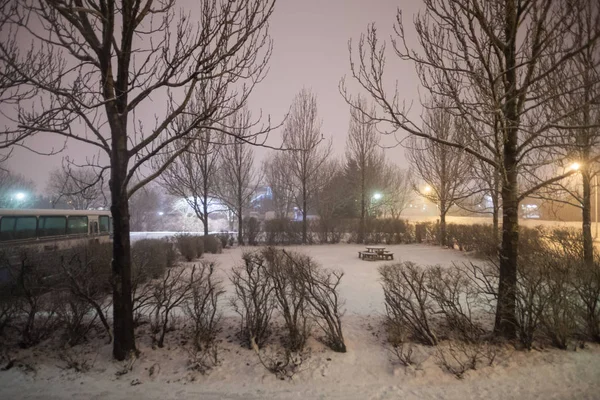 Reykjavik city hostel outside view of ice during winter