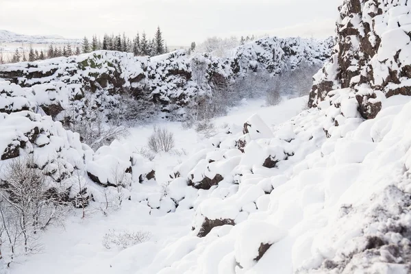 Thingvellir Nationalpark Eller Mer Känd Som Island Pingvellir Nationalpark Vintern — Stockfoto