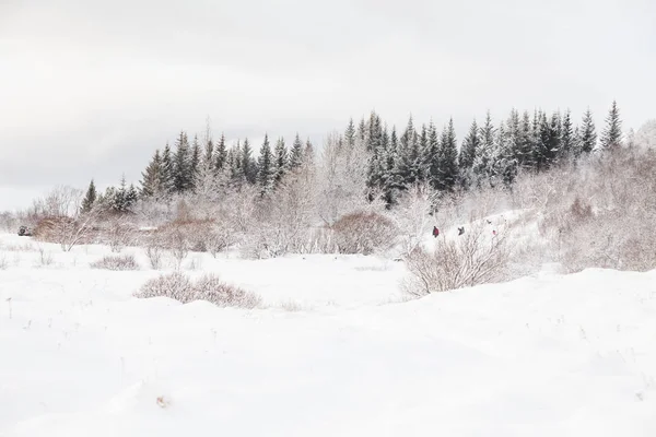 Национальный Парк Тингвеллир Известный Исландский Пингвеллир Зимой — стоковое фото