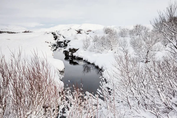 Národní Park Thingvellir Nebo Lépe Známý Jako Island Pingvellir Zimě — Stock fotografie