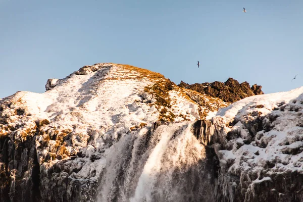 Seljalandsfoss Vue Cascade Pendant Hiver Qui Situé Dans Région Sud — Photo