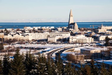 Perlan Kubbesi, İzlanda 'dan Reykjavik şehir manzaralı Hallgrimskirkja
