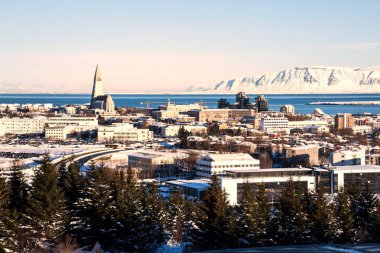 Perlan Kubbesi, İzlanda 'dan Reykjavik şehir manzaralı Hallgrimskirkja