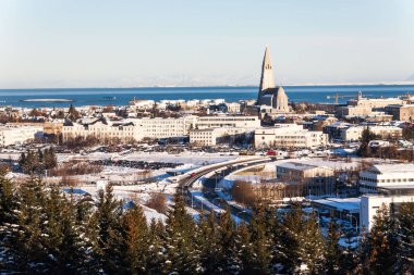 Perlan Kubbesi, İzlanda 'dan Reykjavik şehir manzaralı Hallgrimskirkja