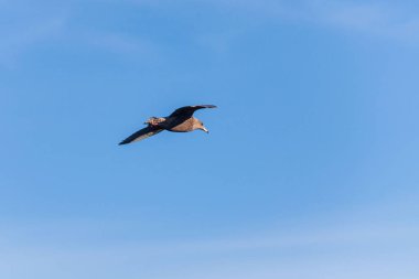 İzlanda 'nın batı kesiminde, Snaefellsnes yarımadasının kuzey kesiminde bulunan küçük bir kasaba olan Stykisholmur kış manzarası