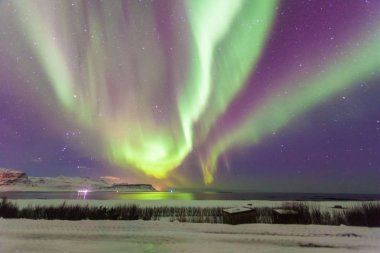 Beautiful Aurora Borealis or better known as The Northern Lights view in Iceland during winter  clipart
