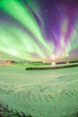 Aurora Borealis ya da daha çok Kuzey Işıkları olarak bilinen İzlanda, Reykjavik 'te kış boyunca arka plan görüntüsü