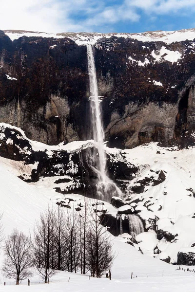 Foss Een Sidu Waterval Uitzicht Tijdens Winter Sneeuw Kirkjubaejarklaustur Ijsland — Stockfoto