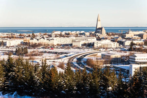 Widok Miasta Reykjavik Hallgrimskirkja Perlan Dome Islandia — Zdjęcie stockowe