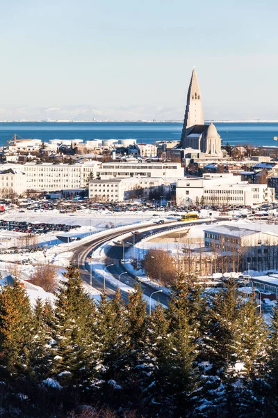 Widok Miasta Reykjavik Hallgrimskirkja Perlan Dome Islandia — Zdjęcie stockowe