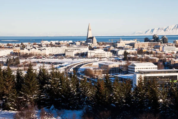 Widok Miasta Reykjavik Hallgrimskirkja Perlan Dome Islandia — Zdjęcie stockowe