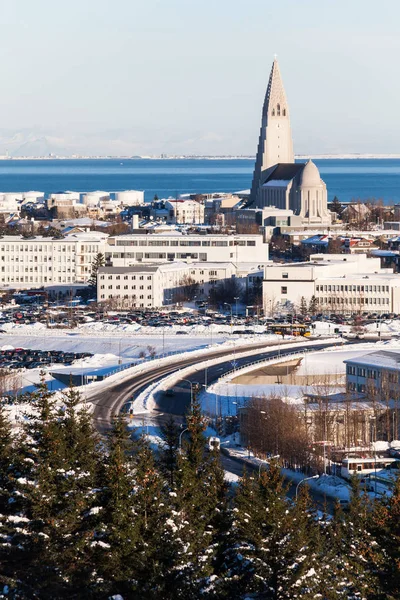 Widok Miasta Reykjavik Hallgrimskirkja Perlan Dome Islandia — Zdjęcie stockowe