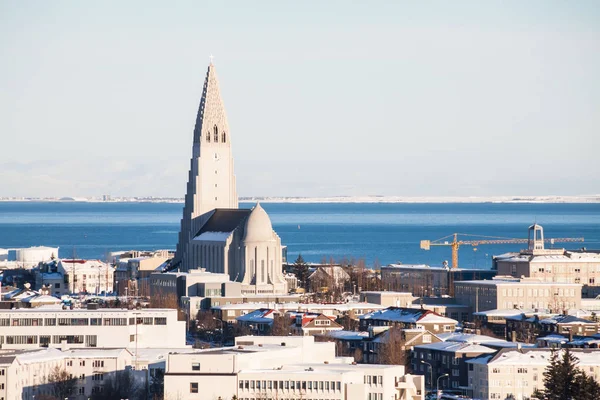 레이캬비크 아이슬란드의 페를란 돔에서 수있는 스커트 — 스톡 사진
