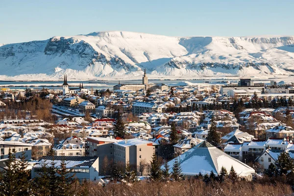 Widok Miasta Reykjavik Hallgrimskirkja Perlan Dome Islandia — Zdjęcie stockowe