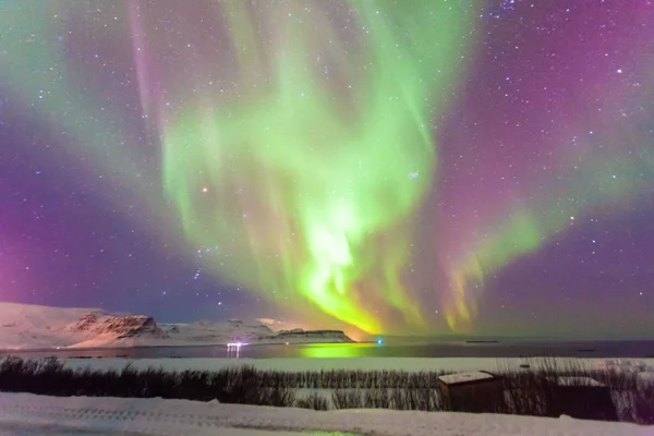 Vackra Norrskenet Eller Bättre Känt Som Norrsken Visa Island Vintern — Stockfoto