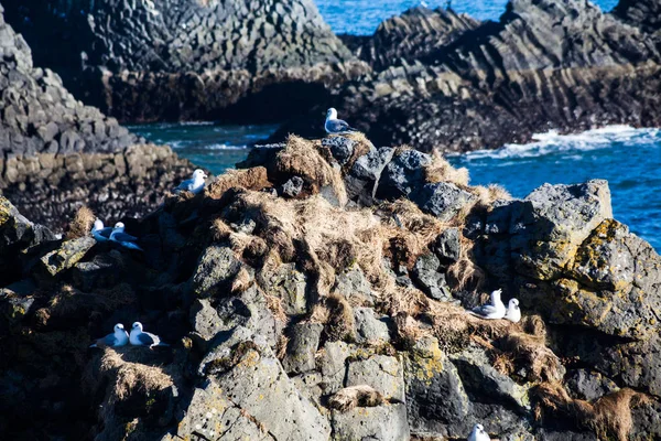 Arnarstapi Stapi Uma Pequena Vila Piscatória Sopé Montanha Stapafell Entre — Fotografia de Stock