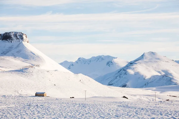 柯克朱夫附近的斯奈弗勒斯维格美丽的冬季雪景 — 图库照片