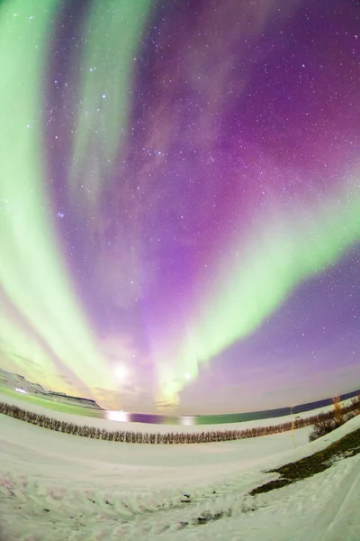 북극광으로 알려져 오로라 아이슬란드 레이캬비크 — 스톡 사진