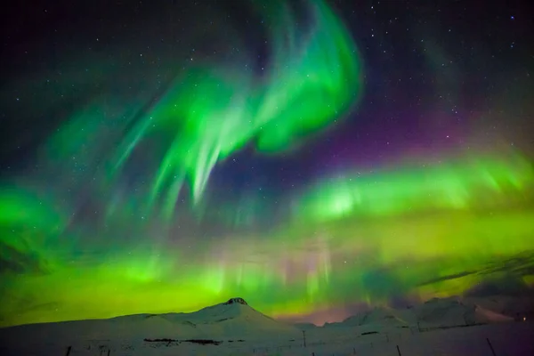 Aurora Borealis Известный Северное Сияние Заднего Вида Исландии Рейкьявик Зимний — стоковое фото