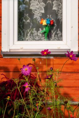 Kraina Otwartych Okiennic, mimar wiejska Podlasia