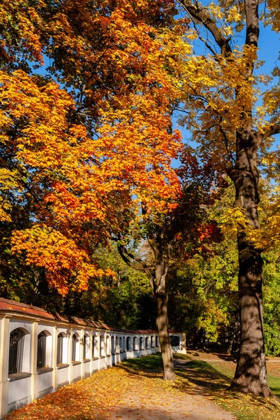 Jesienne barwy - Ogrody Branickich w Bialymstoku - Wersal Podlasia