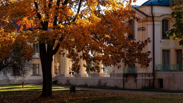 Jesienne barwy - Ogrody Branickich w Bialymstoku - Wersal Podlasia