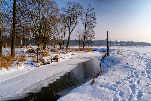 Zima Podlasiu Dolina Grnej Narwi — 스톡 사진