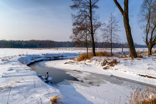 Zima Podlasiu Dolina Grnej Narwi — 스톡 사진