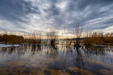  Bagienna dolina Gornej Narwi, nazywana Polska Amazonia, ..... pomnikowe drzewa, lesne uroczyska, drewniana architektura wiejska ...