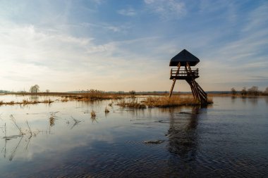 Wiosna w NarwiansKim Parku Narodowym