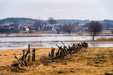 Wiosenne rozlewiska Narwi, Podlaskie wierzby, Dolina Narwi, Podlasie, Polska