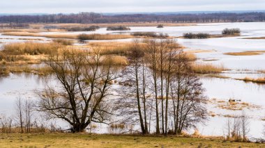 Biebrzanski Park Narodowy 'de. Wiosenne rozlewiska Biebrzy