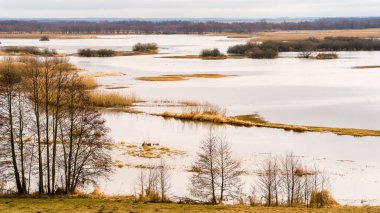 Biebrzanski Park Narodowy 'de. Wiosenne rozlewiska Biebrzy